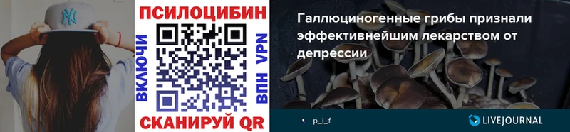 Псилоцибиновые грибы Cubensis Купить закладки Костерёво